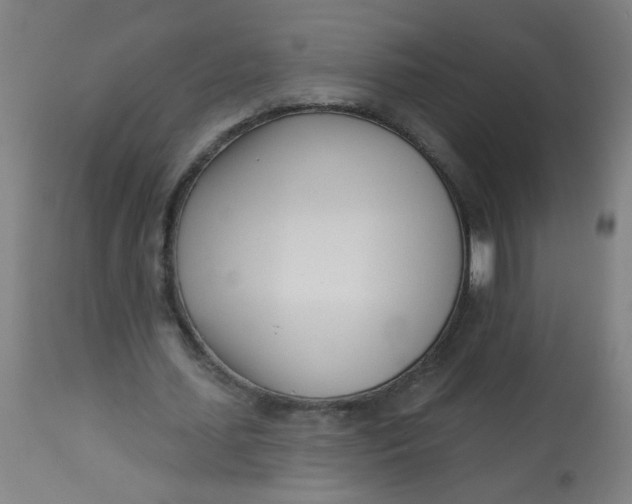 X0000113000627200909171407