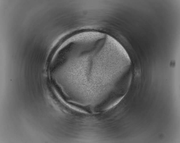 X0000113000628200909171407