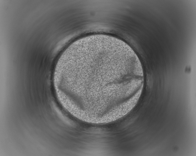 X0000113000629200909171407