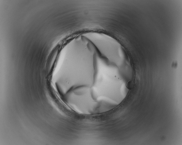 X0000113000630200909171407