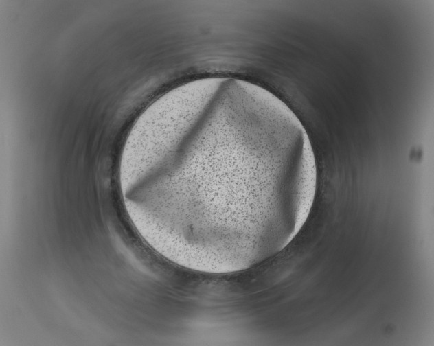 X0000113000631200909171407