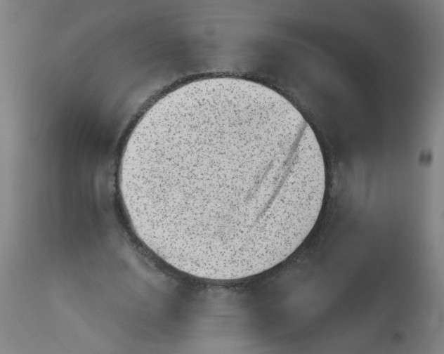 X0000113000632200909171407