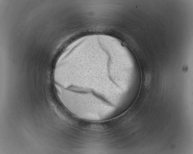 X0000113000636200909171407