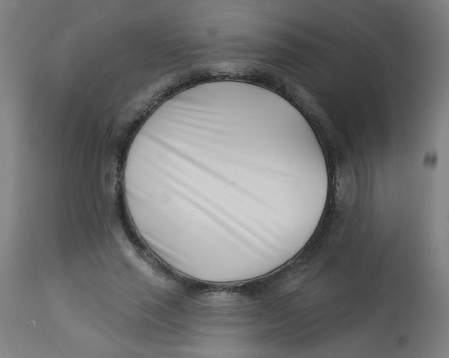 X0000113000637200909171407