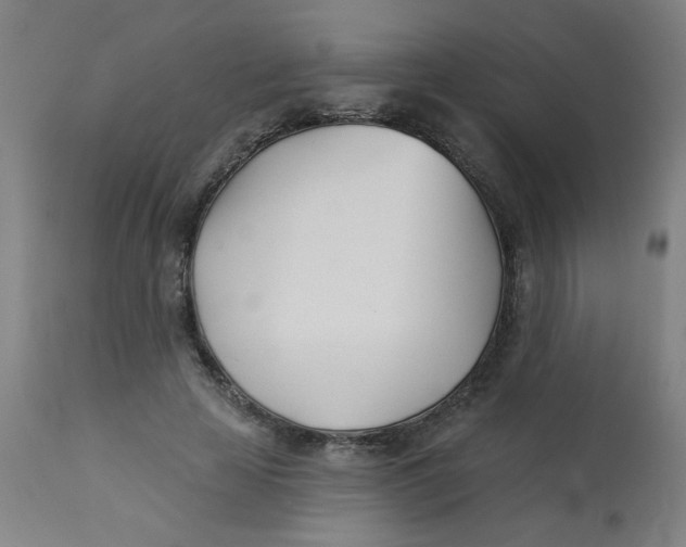 X0000113000641200909171407