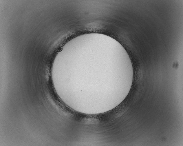 X0000113000644200909171407