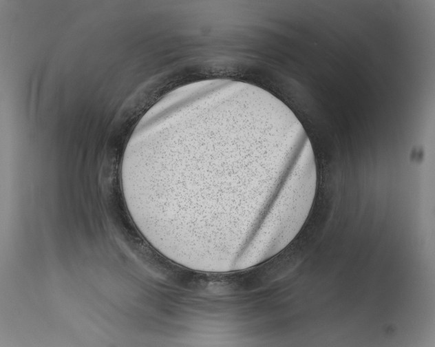 X0000113000645200909171407