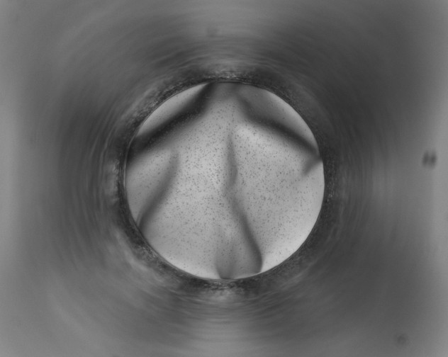 X0000113000646200909171407