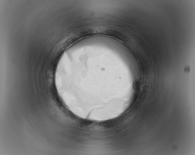 X0000113000648200909171407