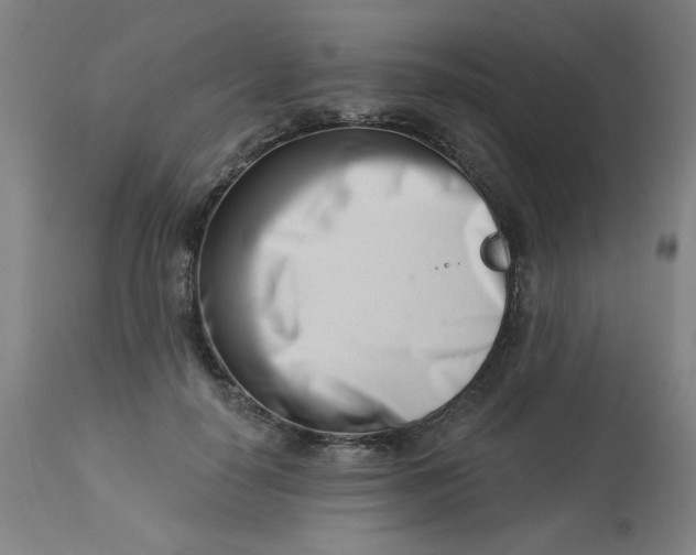 X0000113000650200909171407