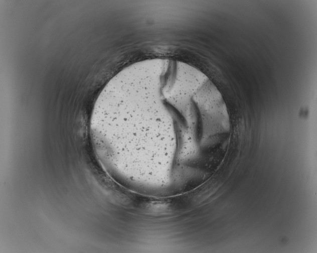 X0000113000651200909171407