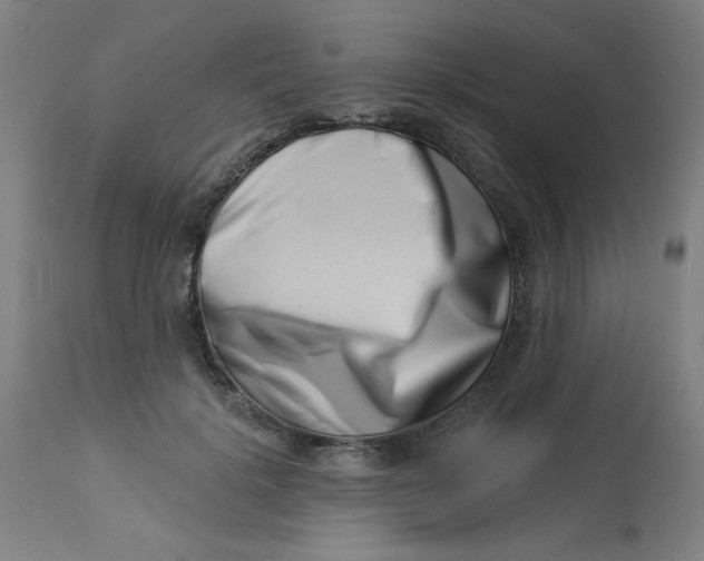 X0000113000652200909171407