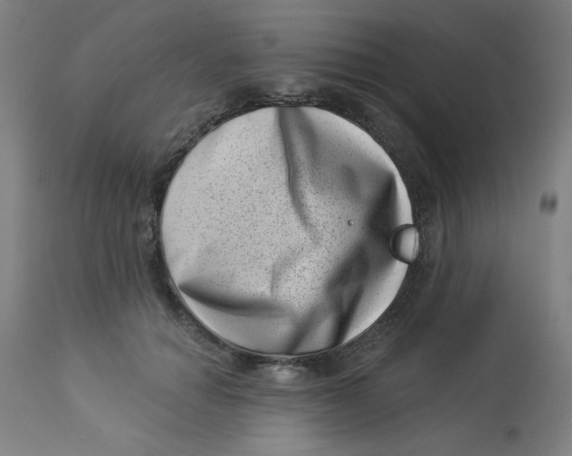 X0000113000654200909171407