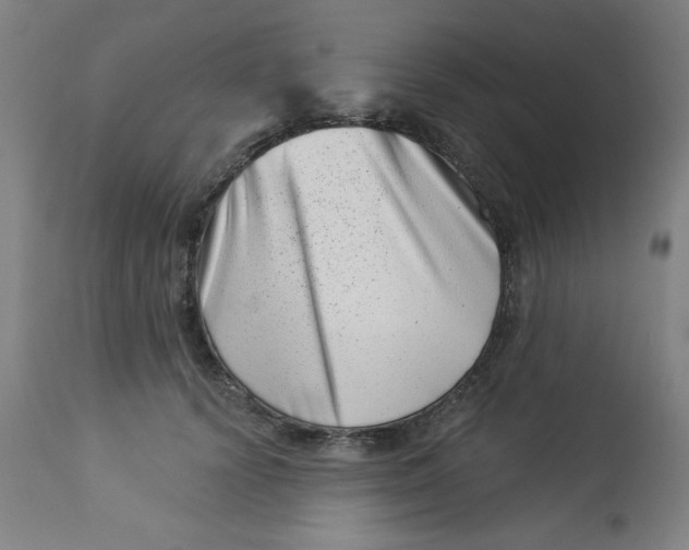 X0000113000656200909171407