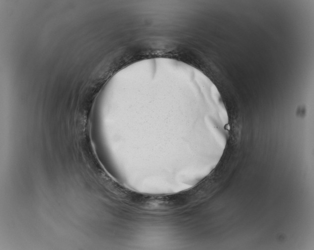 X0000113000657200909171407