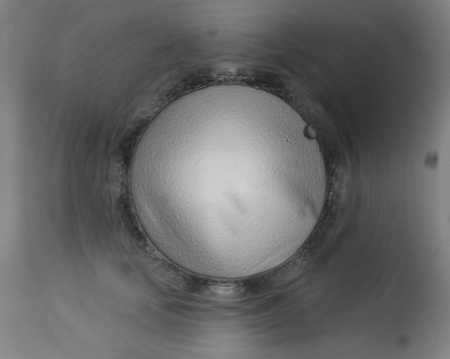 X0000113000659200909171407