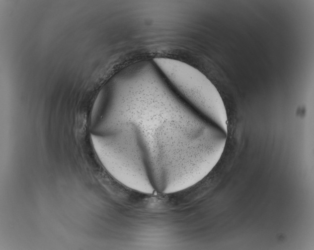 X0000113000660200909171407