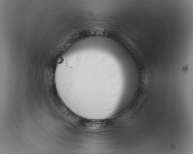 X0000113000661200909171407