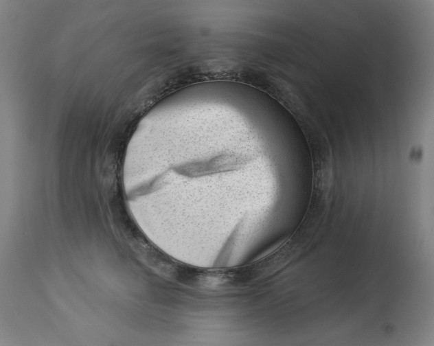 X0000113000662200909171408