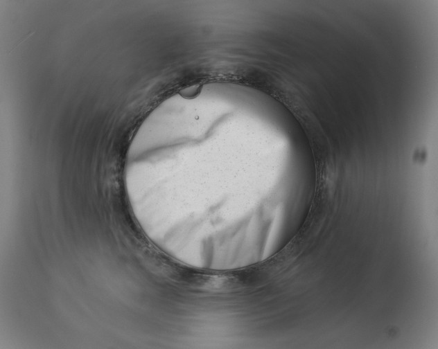 X0000113000663200909171408