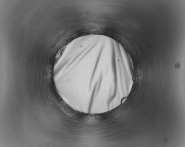 X0000113000664200909171408