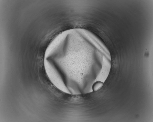 X0000113000666200909171408