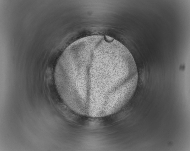 X0000113000667200909171408