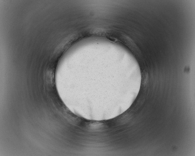 X0000113000669200909171408