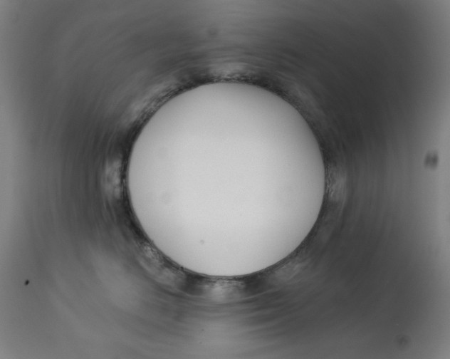 X0000113000670200909171408