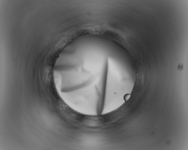 X0000113000671200909171408