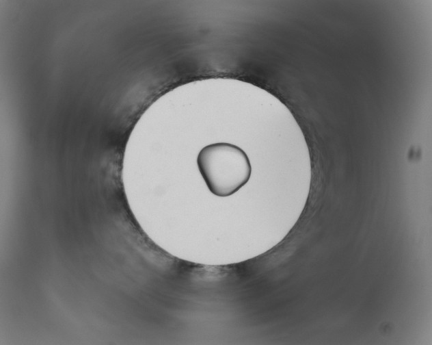 X0000113000672200909171408