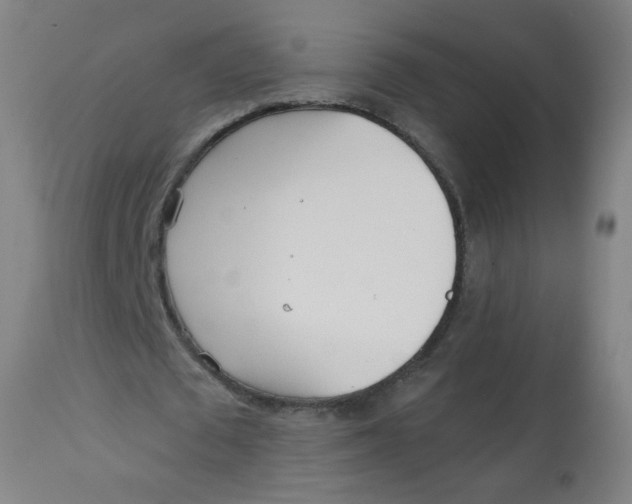 X0000113000673200909171407