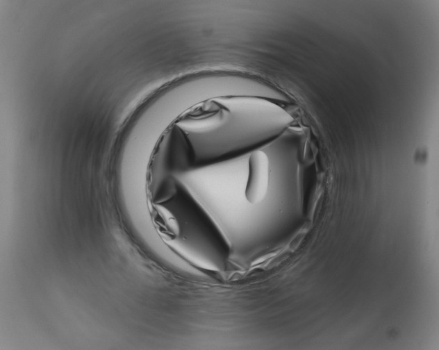 X0000113000676200909171407