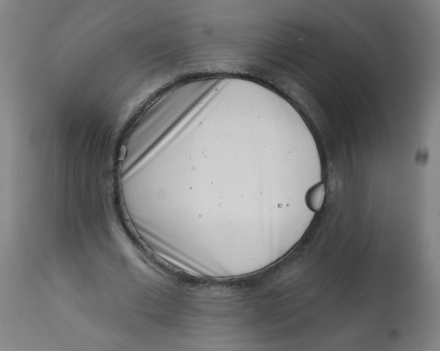 X0000113000677200909171407