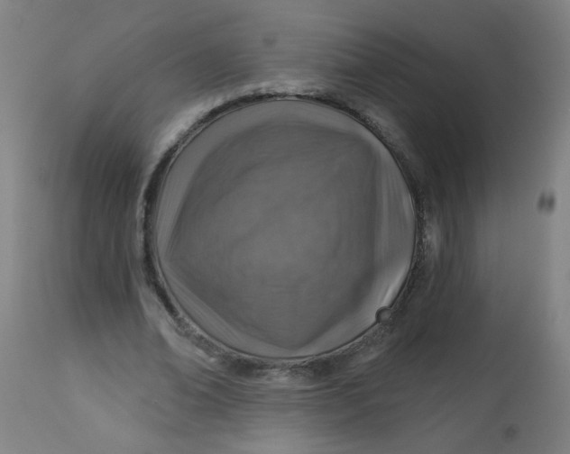 X0000113000678200909171407