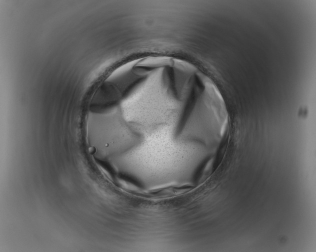 X0000113000679200909171407