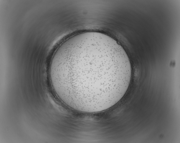 X0000113000684200909171407