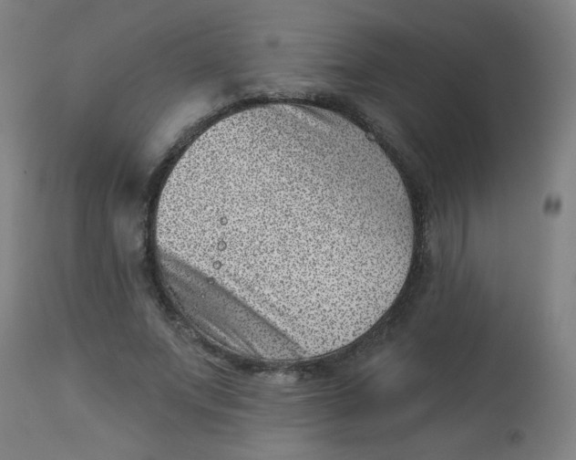 X0000113000687200909171407