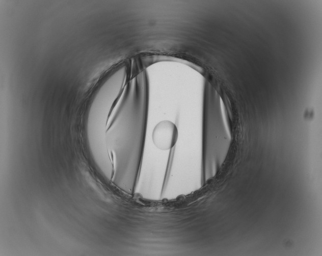 X0000113000688200909171407