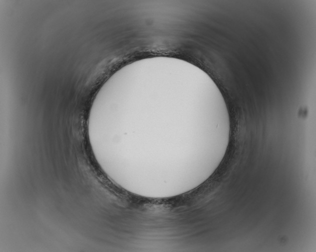 X0000113000689200909171407