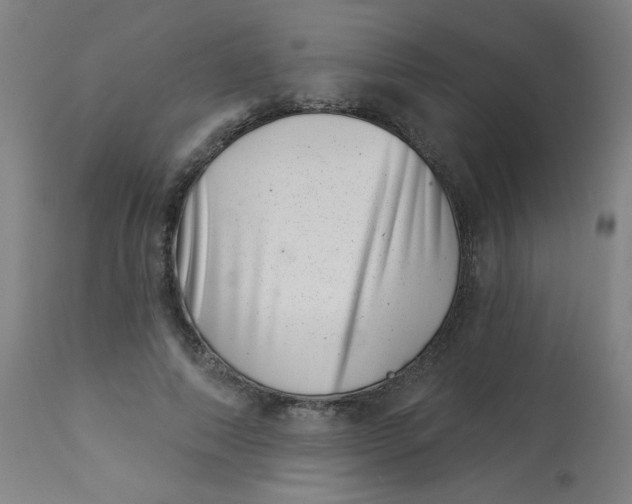 X0000113000690200909171407