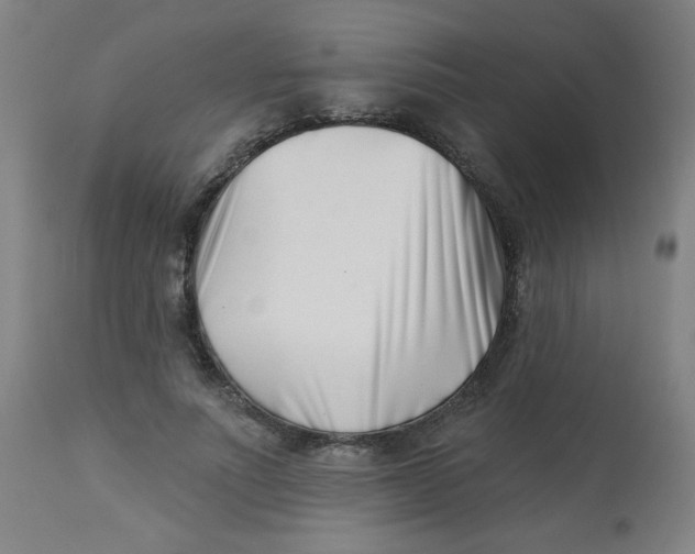 X0000113000691200909171407