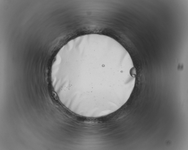 X0000113000693200909171407