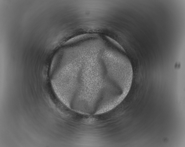 X0000113000695200909171407