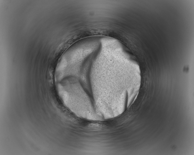 X0000113000699200909171407