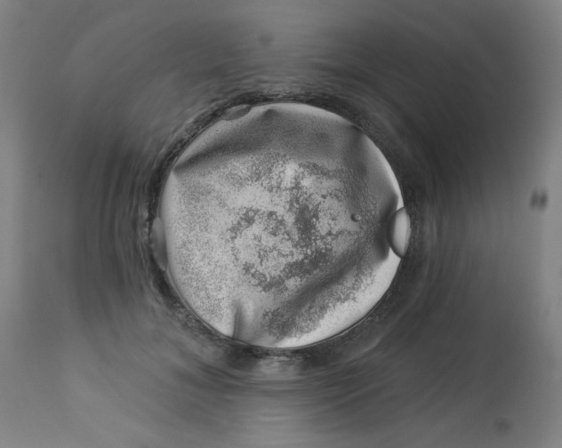 X0000113000700200909171406