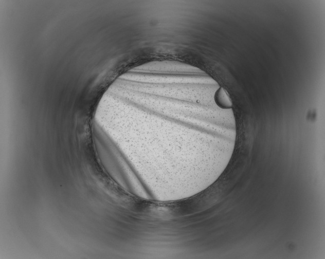 X0000113000706200909171406