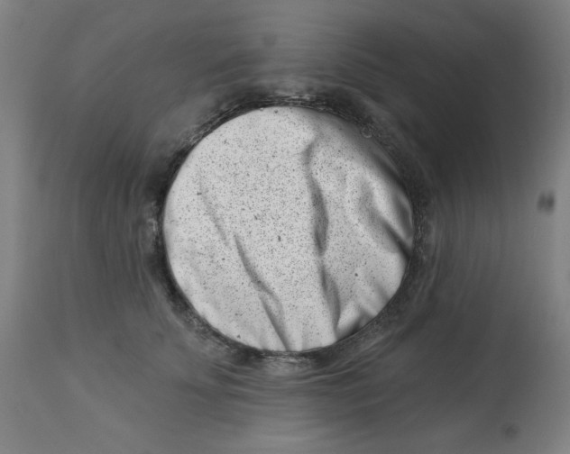 X0000113000707200909171406