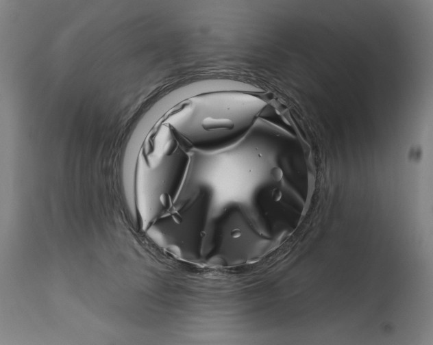 X0000113000708200909171406