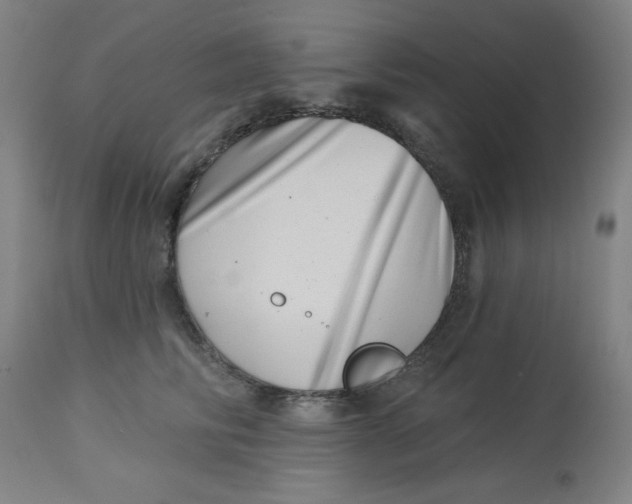 X0000113000710200909171406